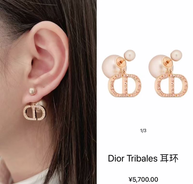 Christian Dior Earrings